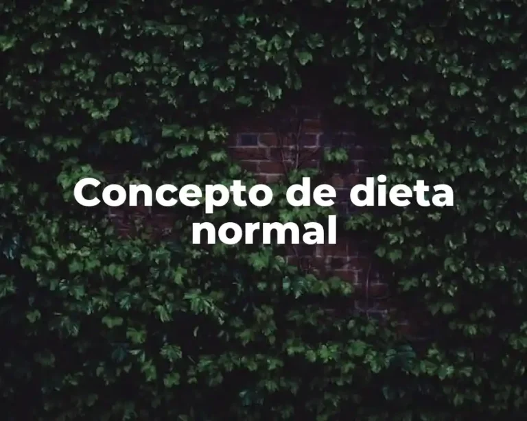 Concepto de dieta normal