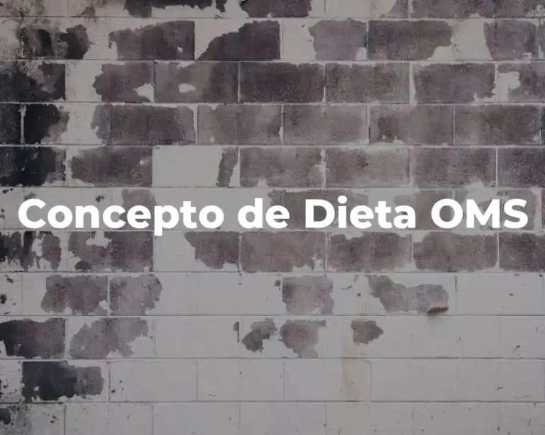 Concepto de Dieta OMS