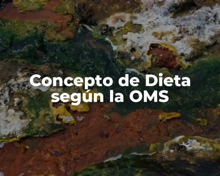 Concepto de Dieta según la OMS