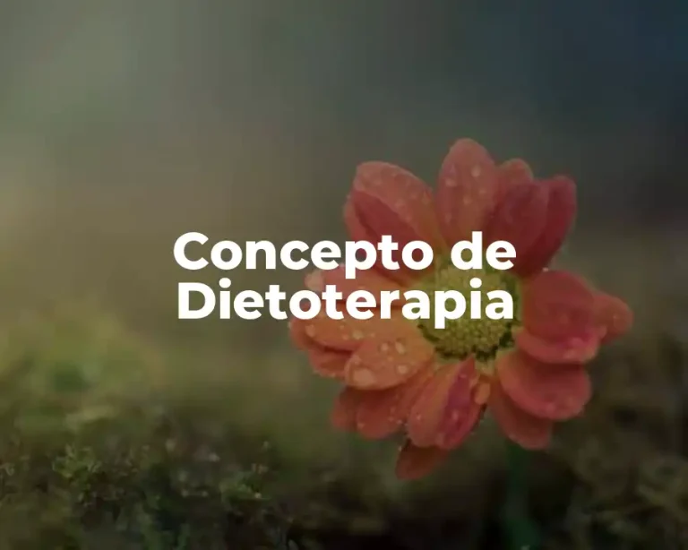 Concepto de Dietoterapia