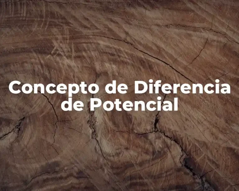 Concepto de Diferencia de Potencial