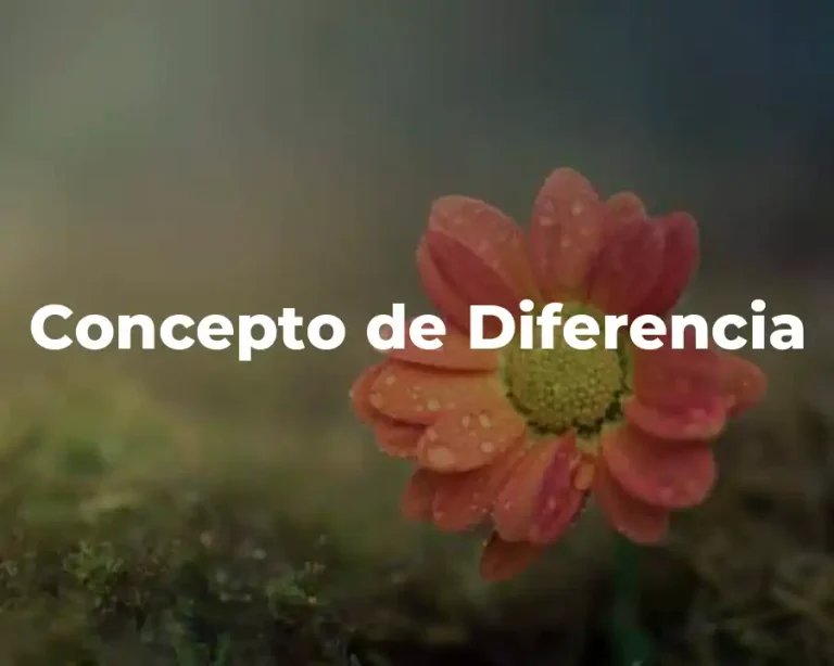 Concepto de Diferencia
