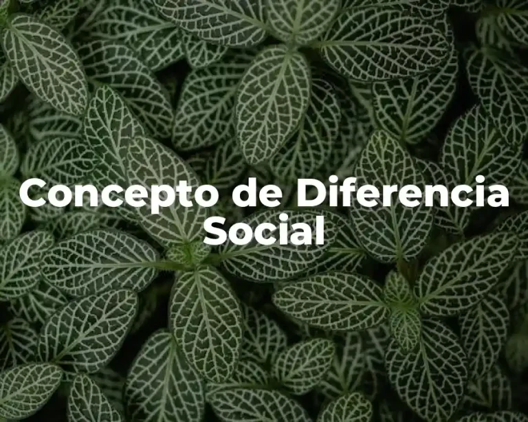 Concepto de Diferencia Social