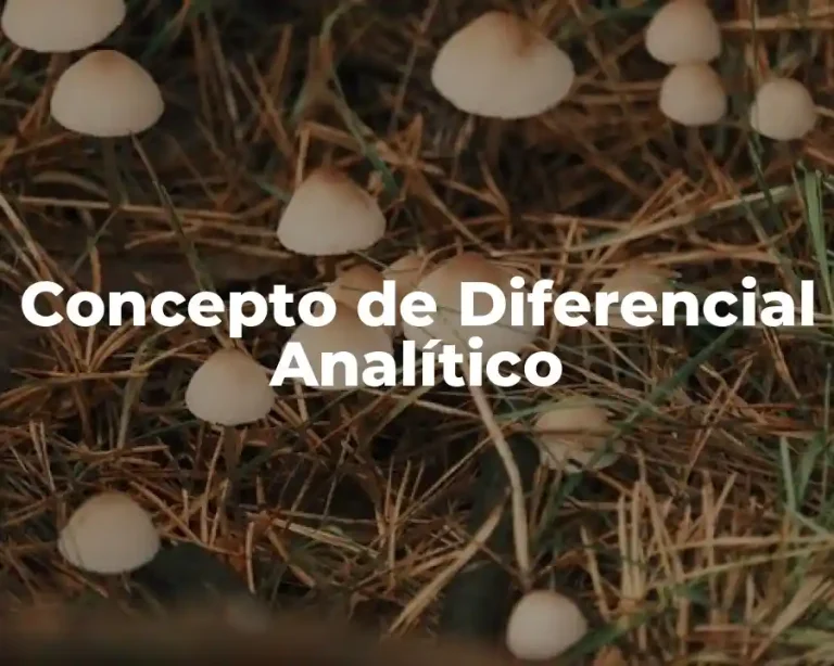 Concepto de Diferencial Analítico