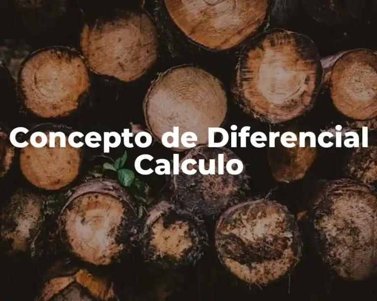 Concepto de Diferencial Calculo