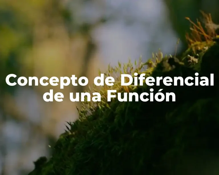 Concepto de Diferencial de una Función