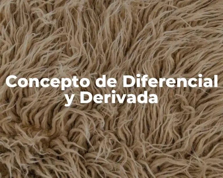 Concepto de Diferencial y Derivada