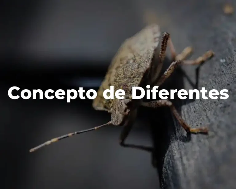 Concepto de Diferentes