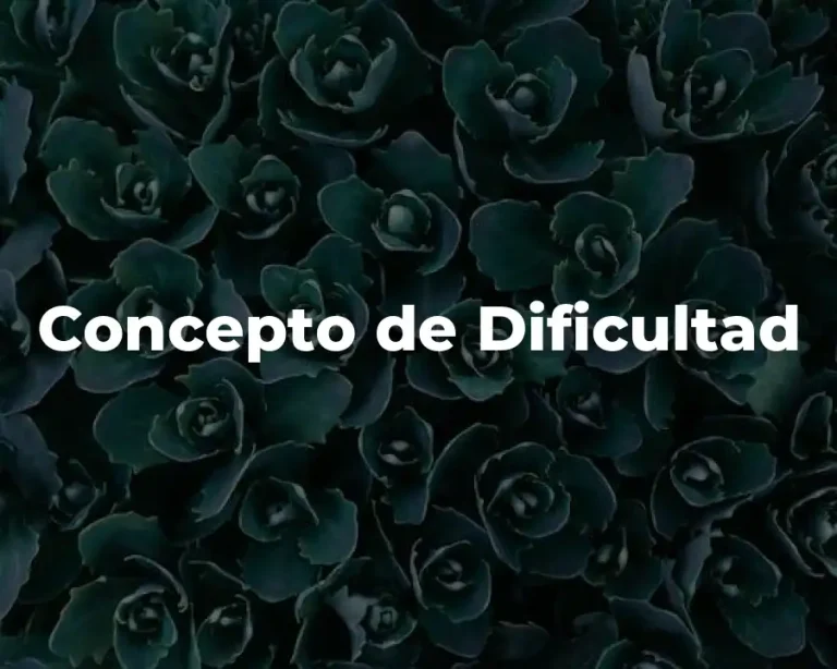 Concepto de Dificultad