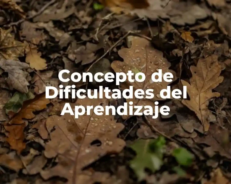 Concepto de Dificultades del Aprendizaje