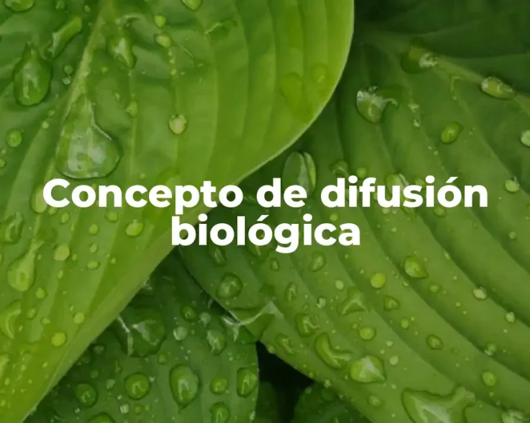 Concepto de difusión biológica