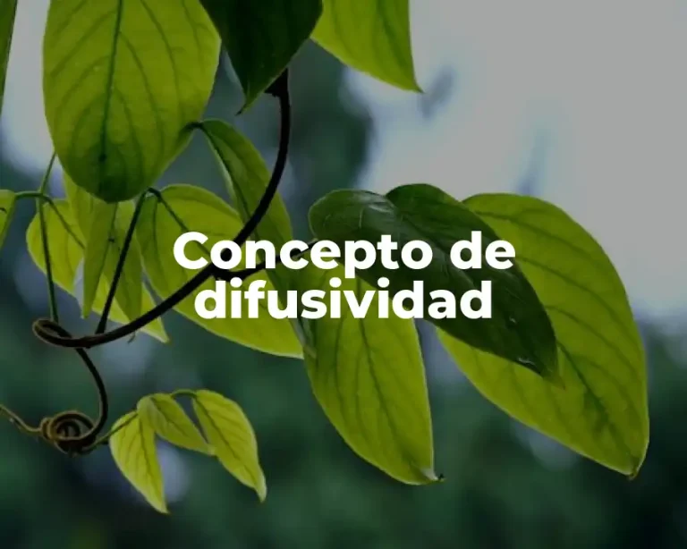 Concepto de difusividad