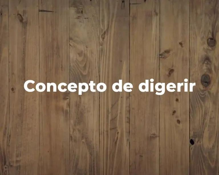 Concepto de digerir