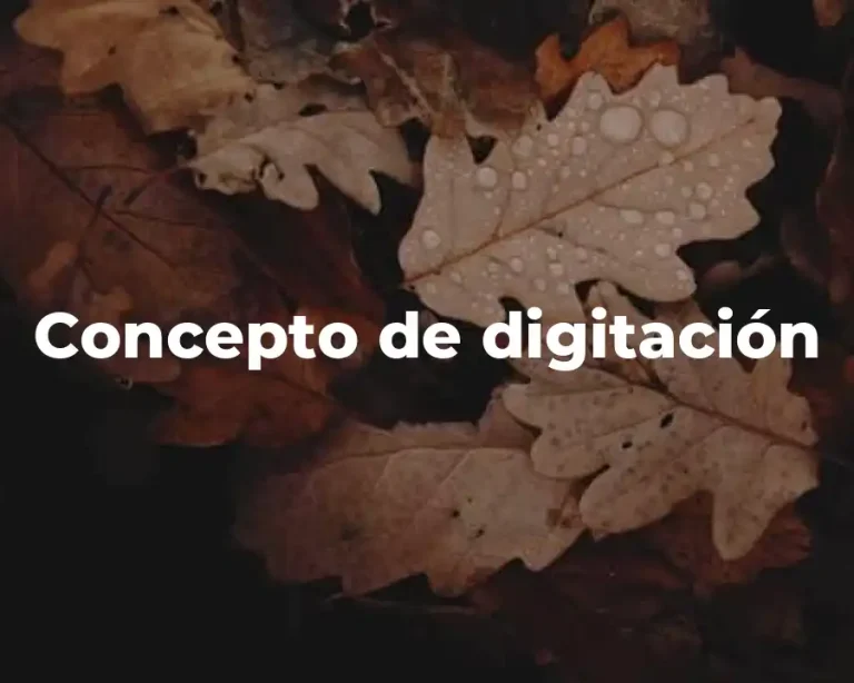 Concepto de digitación