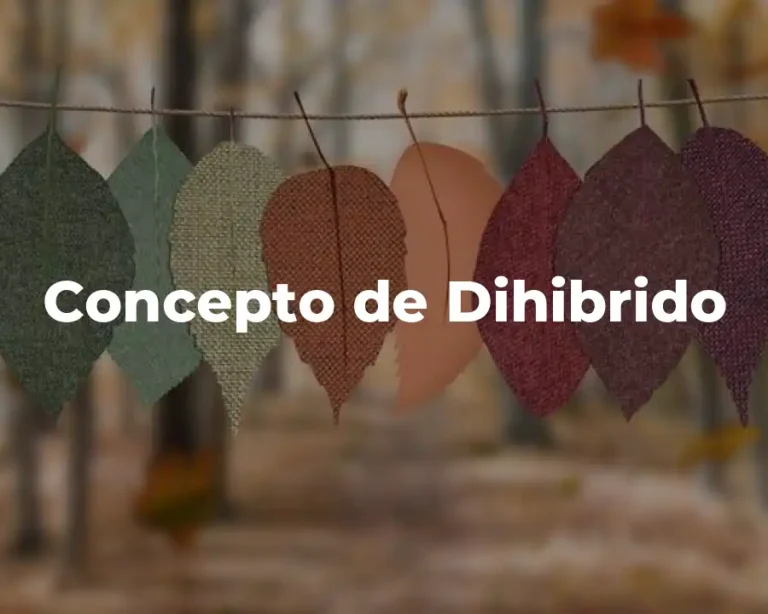 Concepto de Dihibrido