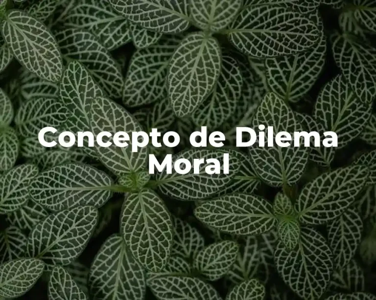 Concepto de Dilema Moral