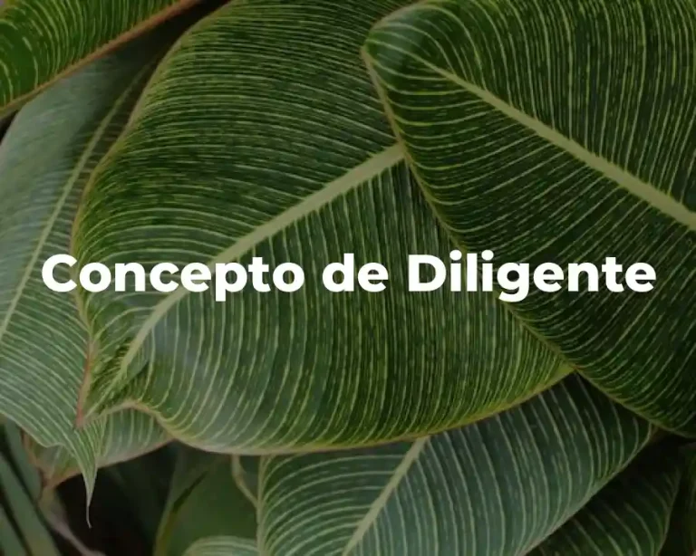 Concepto de Diligente