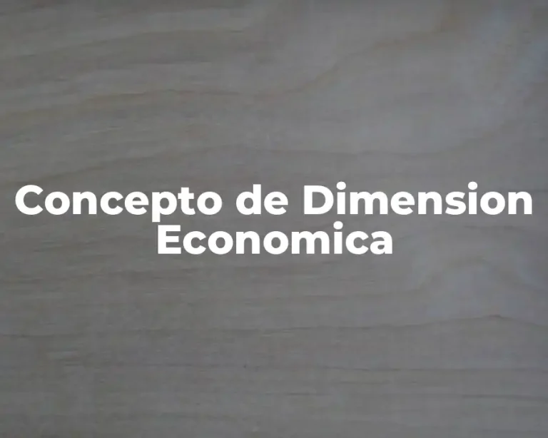 Concepto de Dimension Economica