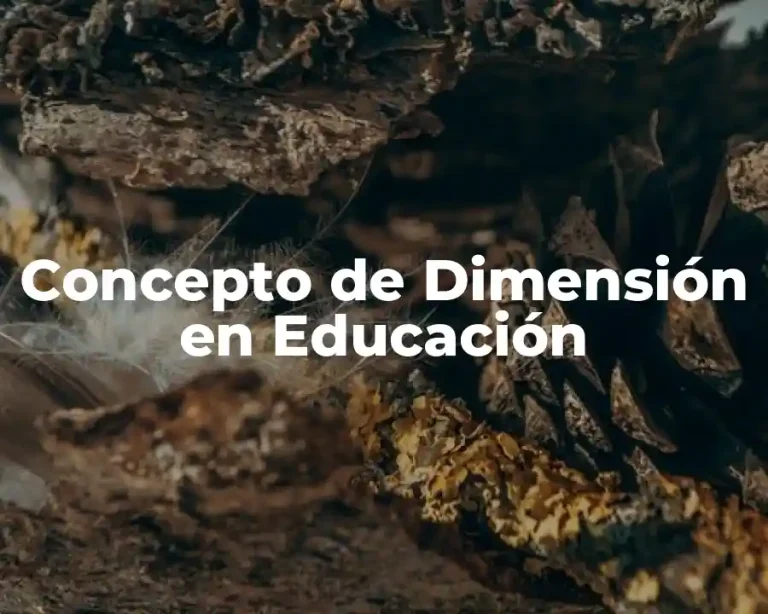 Concepto de Dimensión en Educación