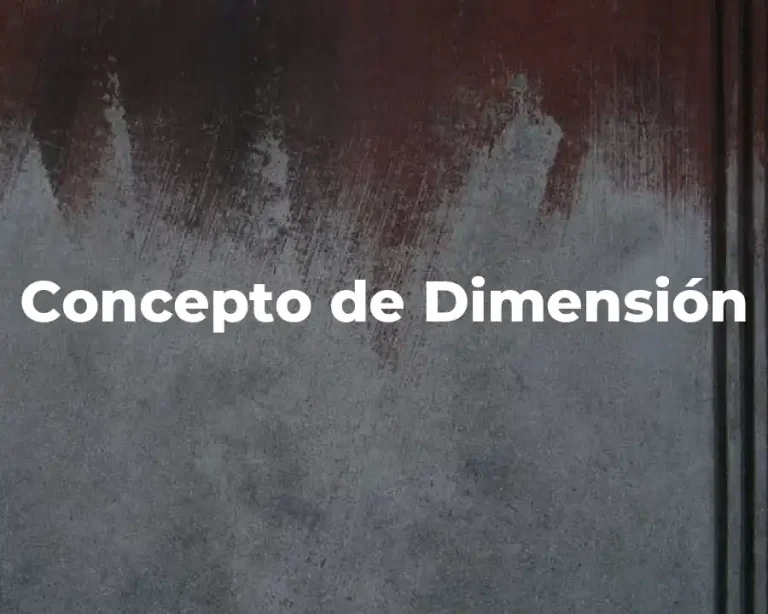 Concepto de Dimensión