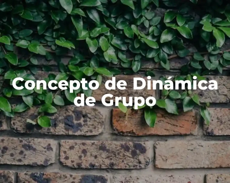 Concepto de Dinámica de Grupo