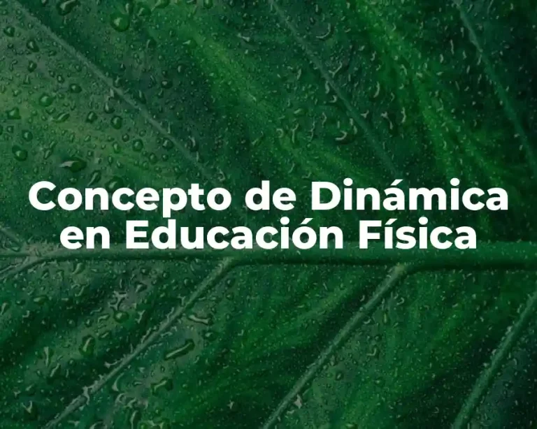 Concepto de Dinámica en Educación Física