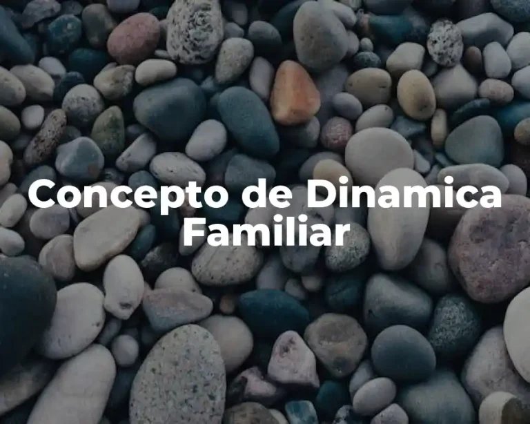 Concepto de Dinamica Familiar