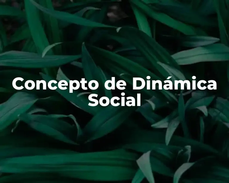 Concepto de Dinámica Social