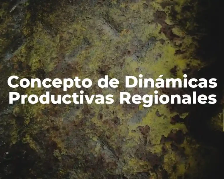 Concepto de Dinámicas Productivas Regionales