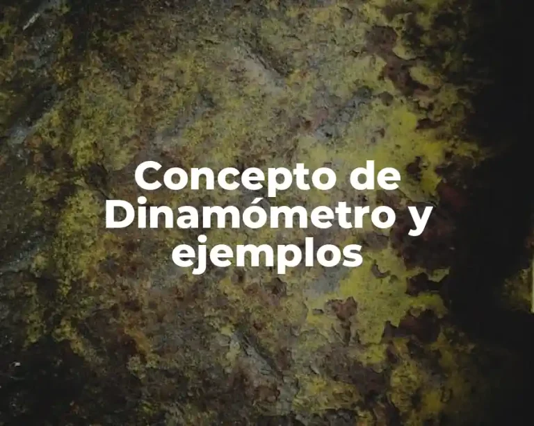 Concepto de Dinamómetro y ejemplos