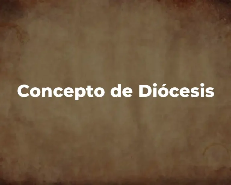 Concepto de Diócesis