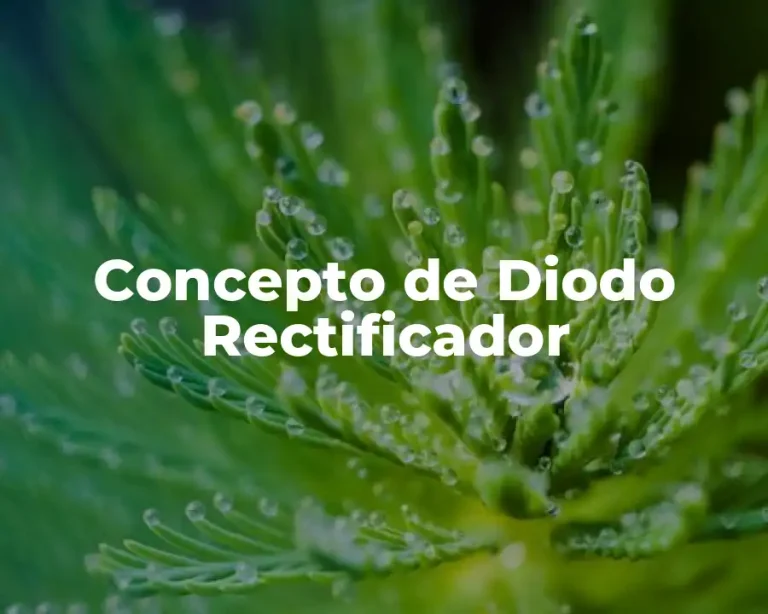Concepto de Diodo Rectificador