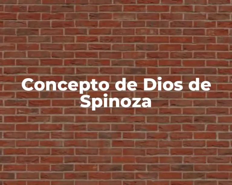 Concepto de Dios de Spinoza