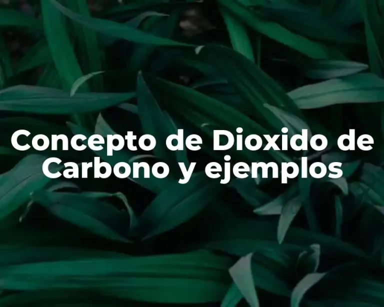 Concepto de Dioxido de Carbono y ejemplos