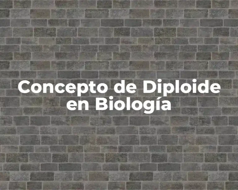 Concepto de Diploide en Biología