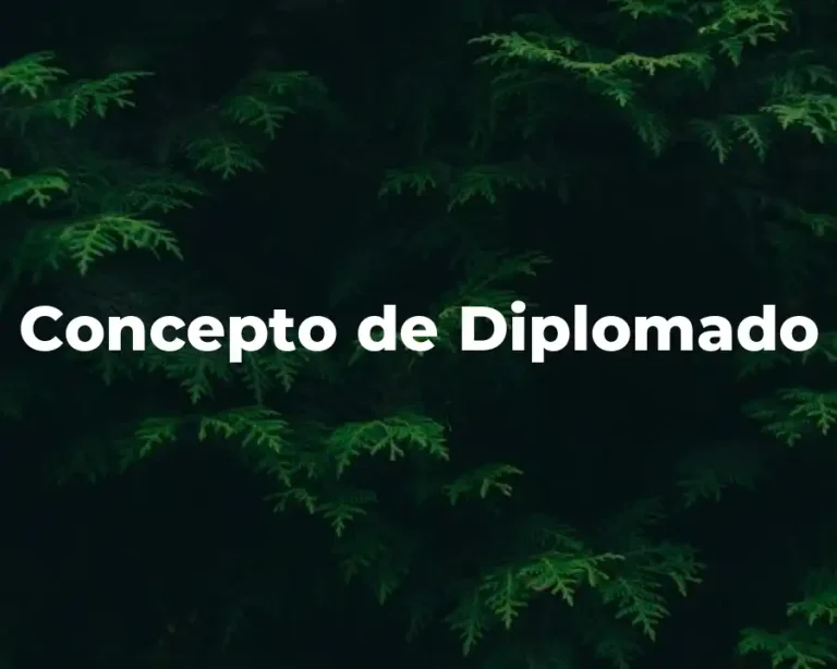Concepto de Diplomado