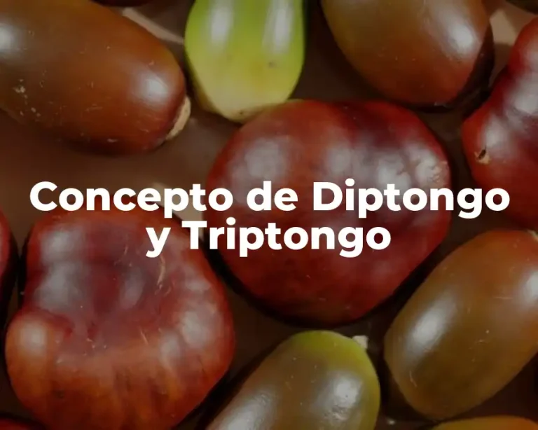 Concepto de Diptongo y Triptongo