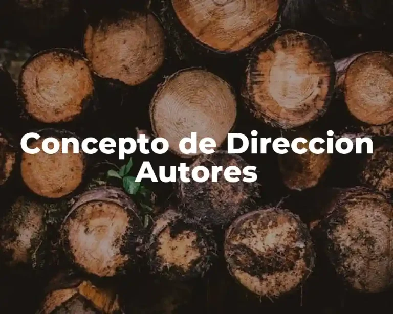 Concepto de Direccion Autores