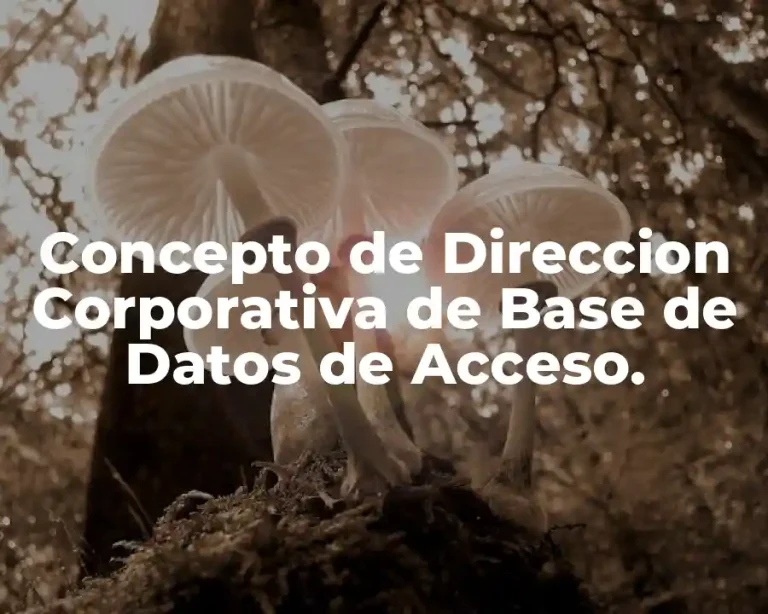 Concepto de Direccion Corporativa de Base de Datos de Acceso.