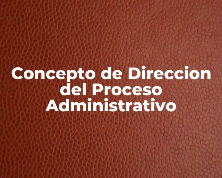 Concepto de Direccion del Proceso Administrativo