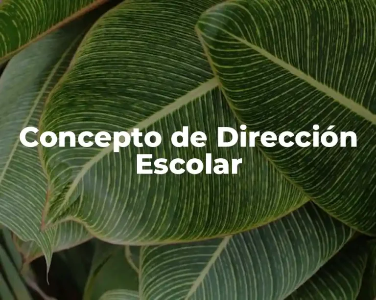 Concepto de Dirección Escolar