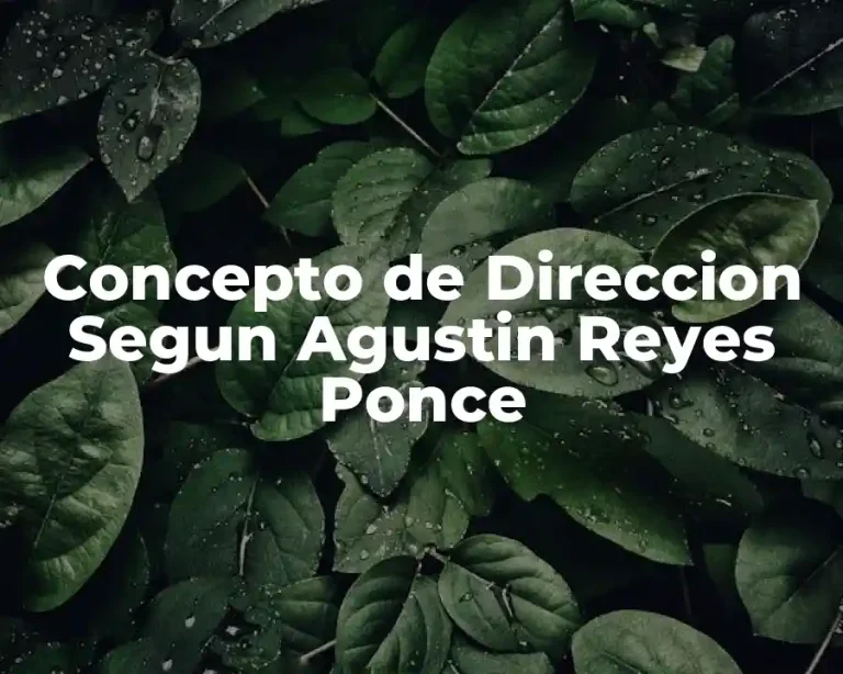 Concepto de Direccion Segun Agustin Reyes Ponce