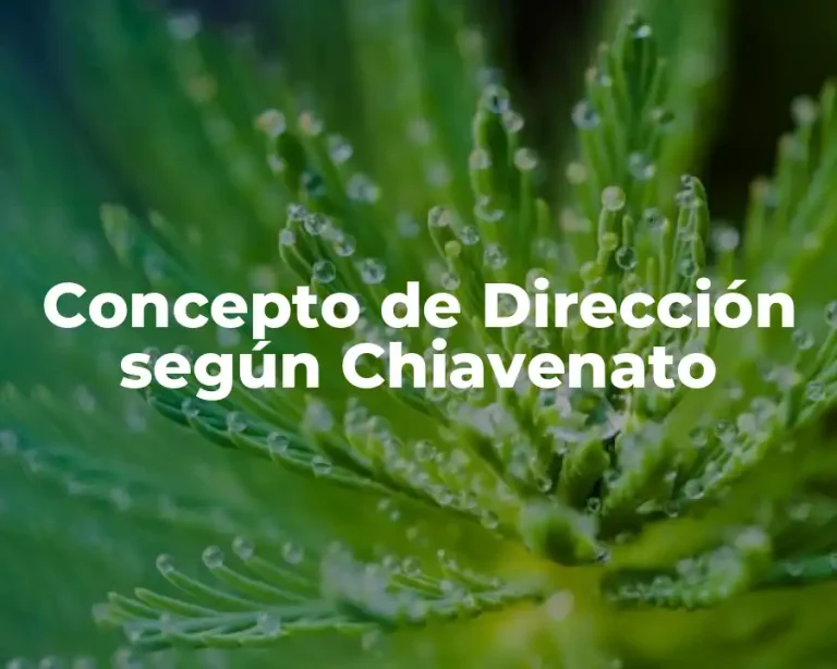 Concepto de Dirección según Chiavenato