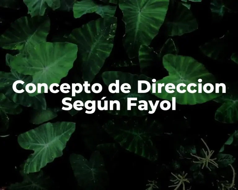 Concepto de Direccion Según Fayol