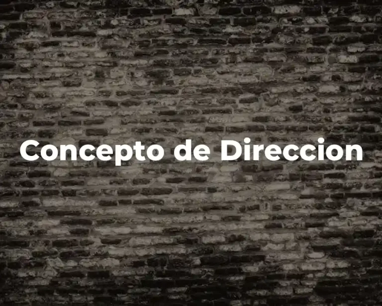 Concepto de Direccion