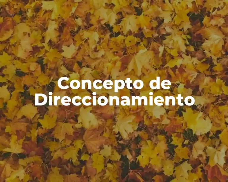 Concepto de Direccionamiento