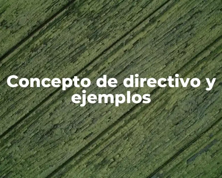 Concepto de directivo y ejemplos