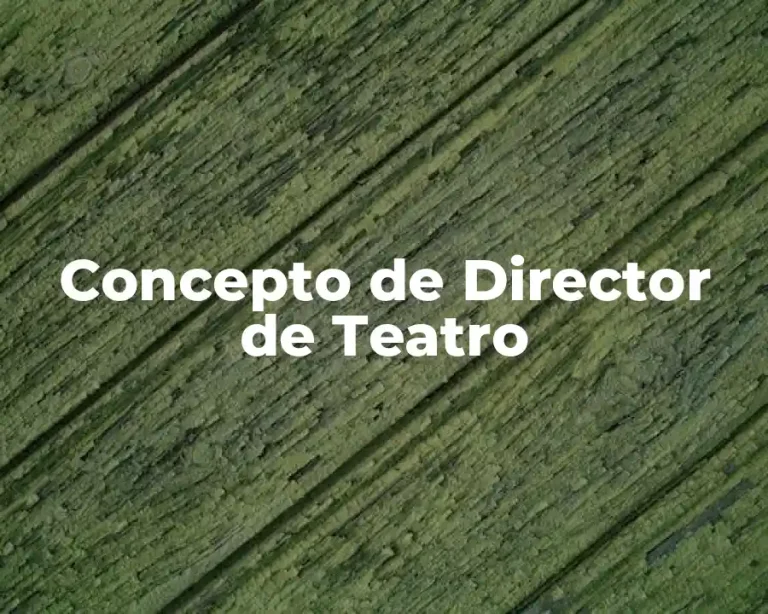 Concepto de Director de Teatro