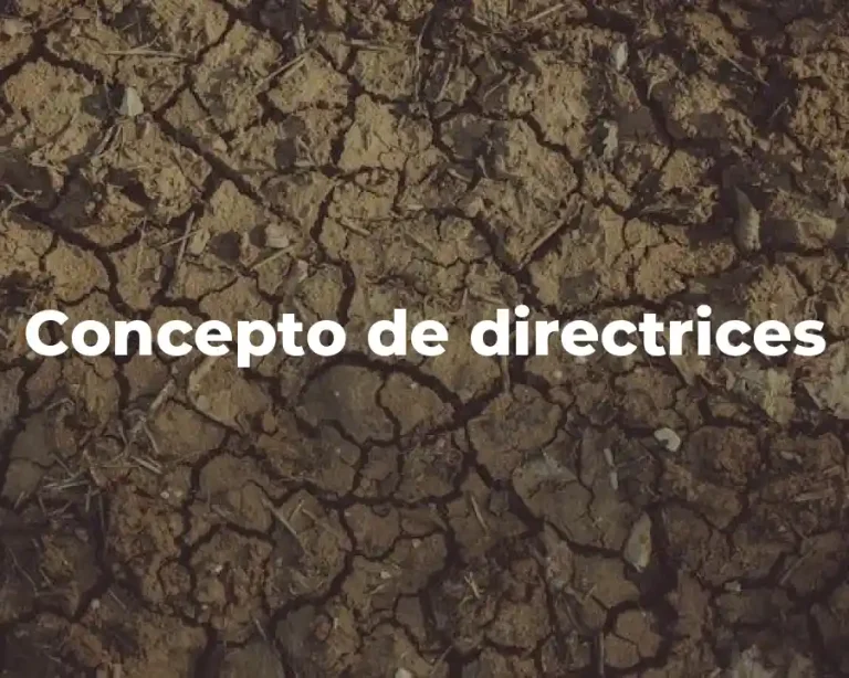 Concepto de directrices