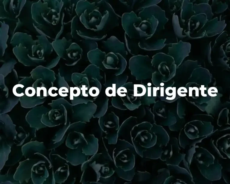 Concepto de Dirigente